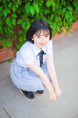 最新电视剧排行榜